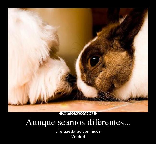 Aunque seamos diferentes... -