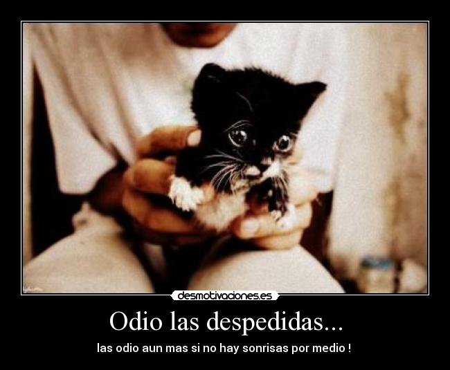 Odio las despedidas... - las odio aun mas si no hay sonrisas por medio ! ♥