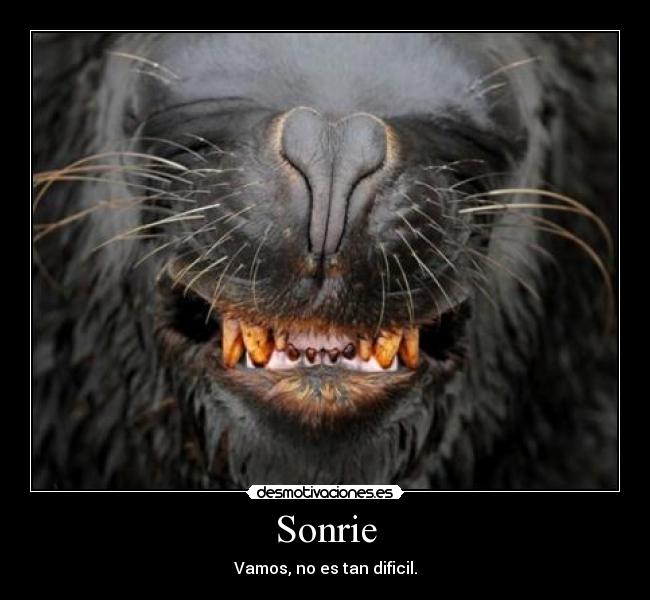 Sonrie -