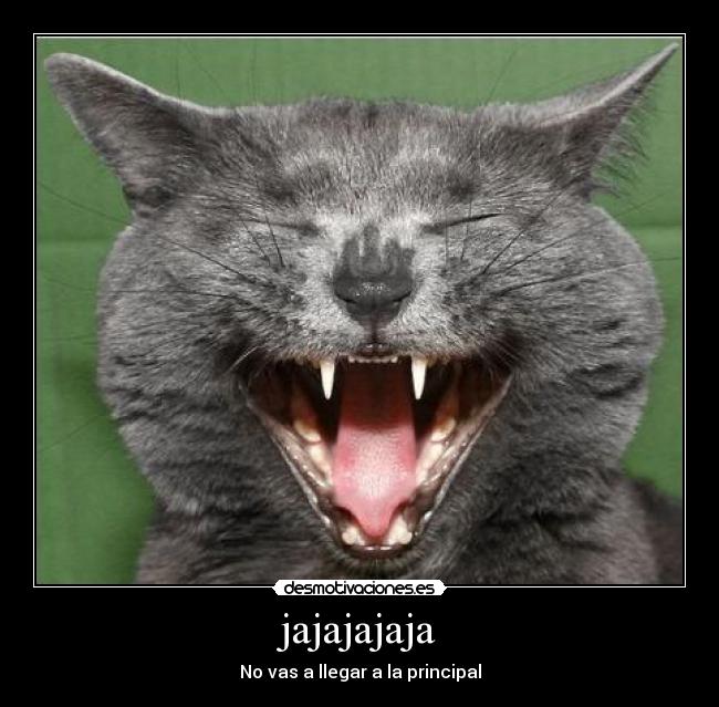jajajajaja - No vas a llegar a la principal