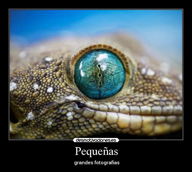 Pequeñas -  grandes fotografias