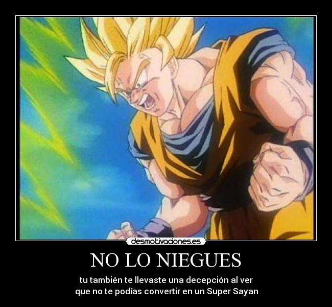 NO LO NIEGUES - 