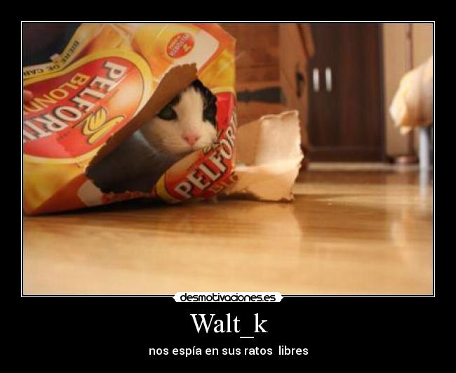 Walt_k - 