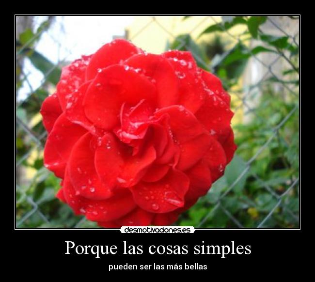 Porque las cosas simples - 