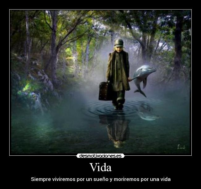 Vida -