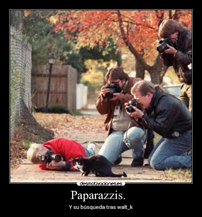 Paparazzis.   - 