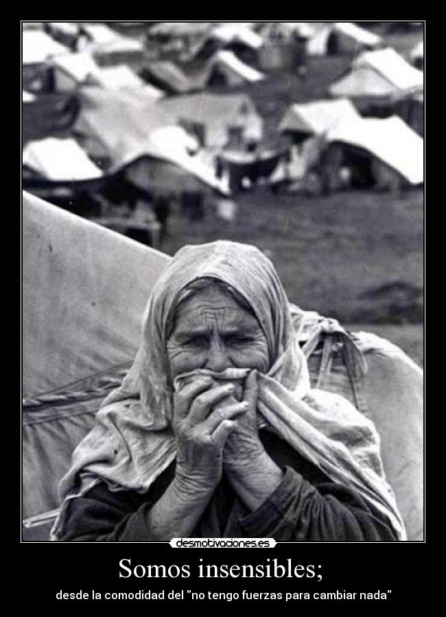 Somos insensibles; - desde la comodidad del no tengo fuerzas para cambiar nada