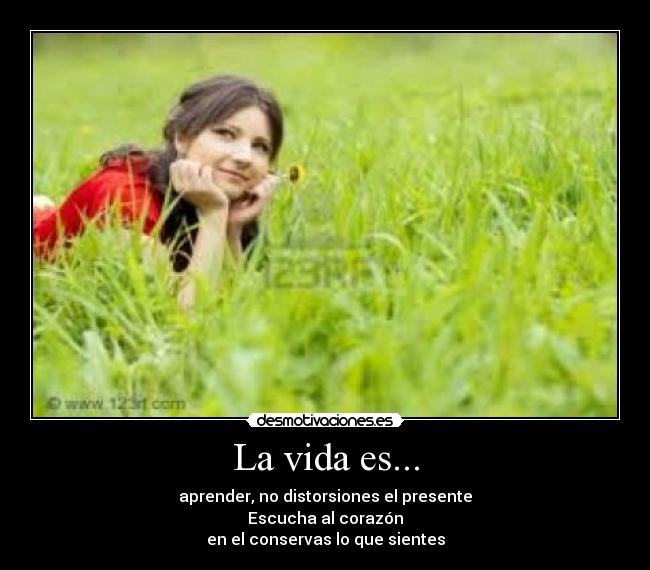 carteles vida vida desmotivaciones