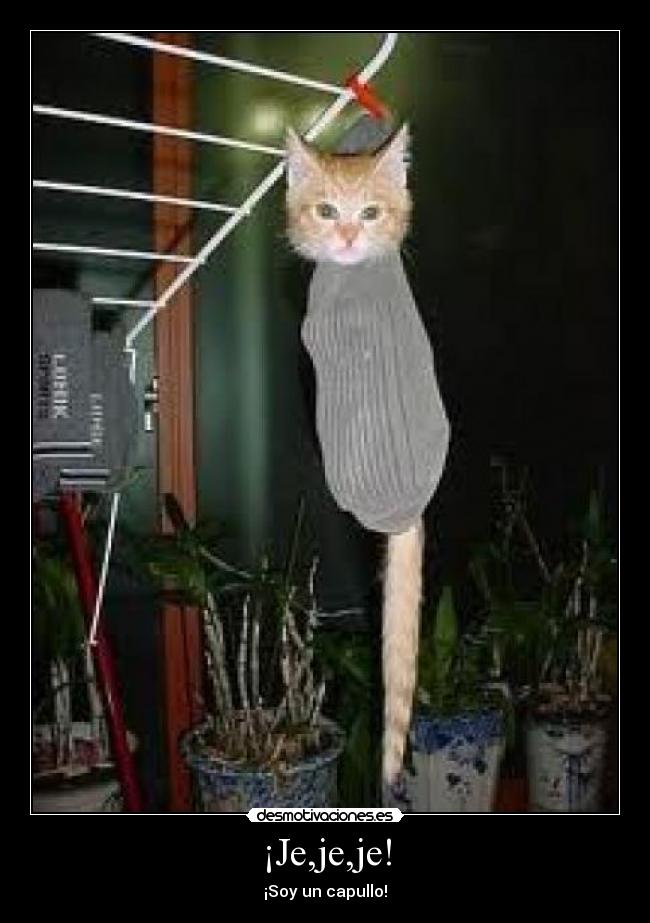 ¡Je,je,je! - 