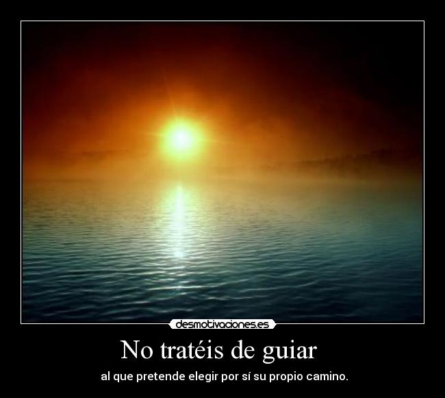 No tratéis de guiar -