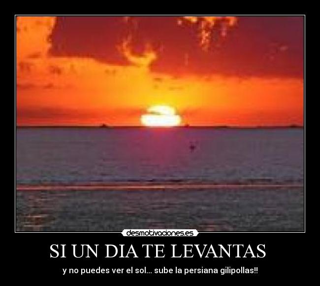 SI UN DIA TE LEVANTAS -