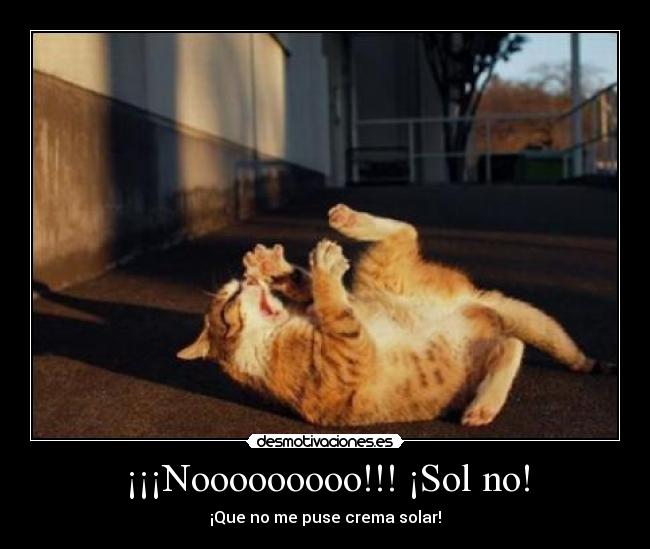 ¡¡¡Nooooooooo!!! ¡Sol no! - ¡Que no me puse crema solar!