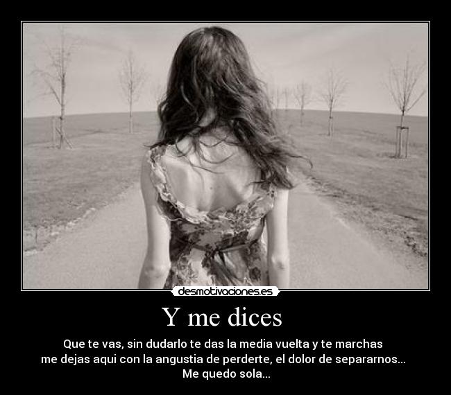 Y me dices  - 