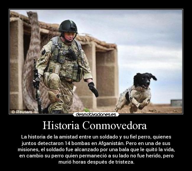 carteles historia dejo link comentarios desmotivaciones