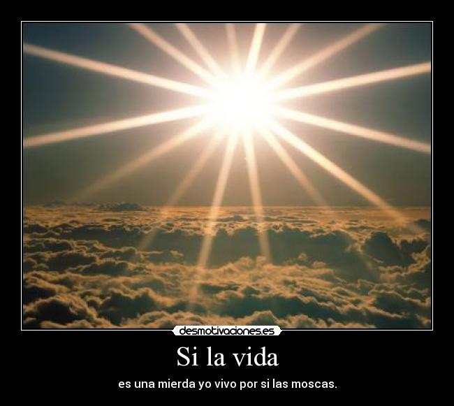 Si la vida - 