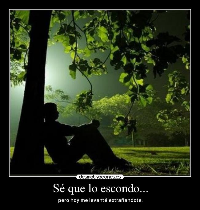 Sé que lo escondo... - 
