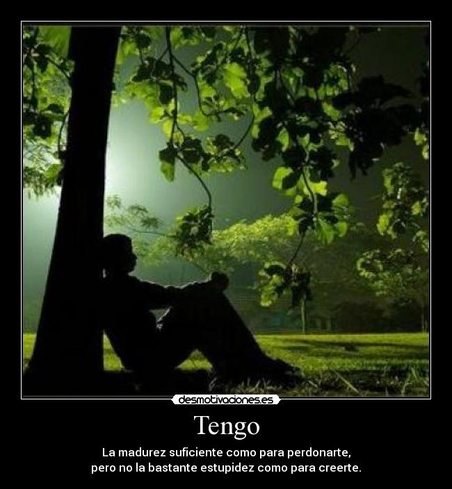 Tengo - La madurez suficiente como para perdonarte,
pero no la bastante estupidez como para creerte.