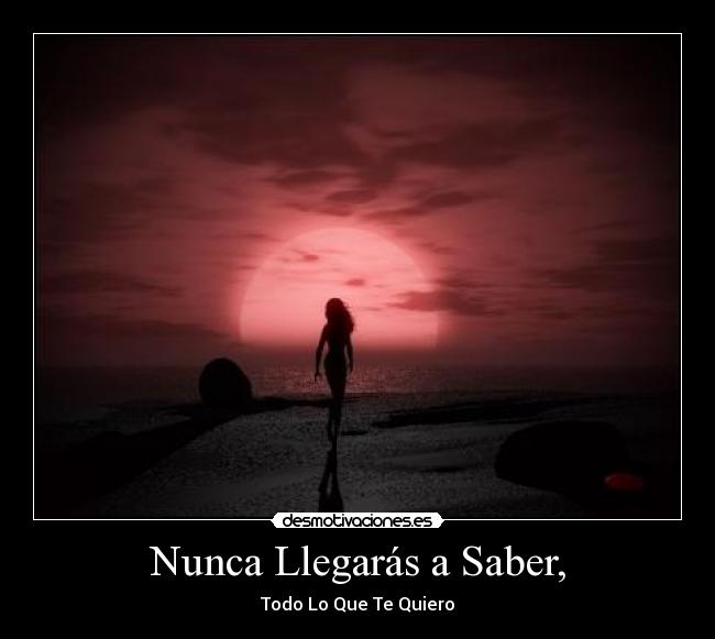 Nunca Llegarás a Saber, - Todo Lo Que Te Quiero