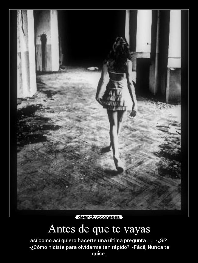 Antes de que te vayas -