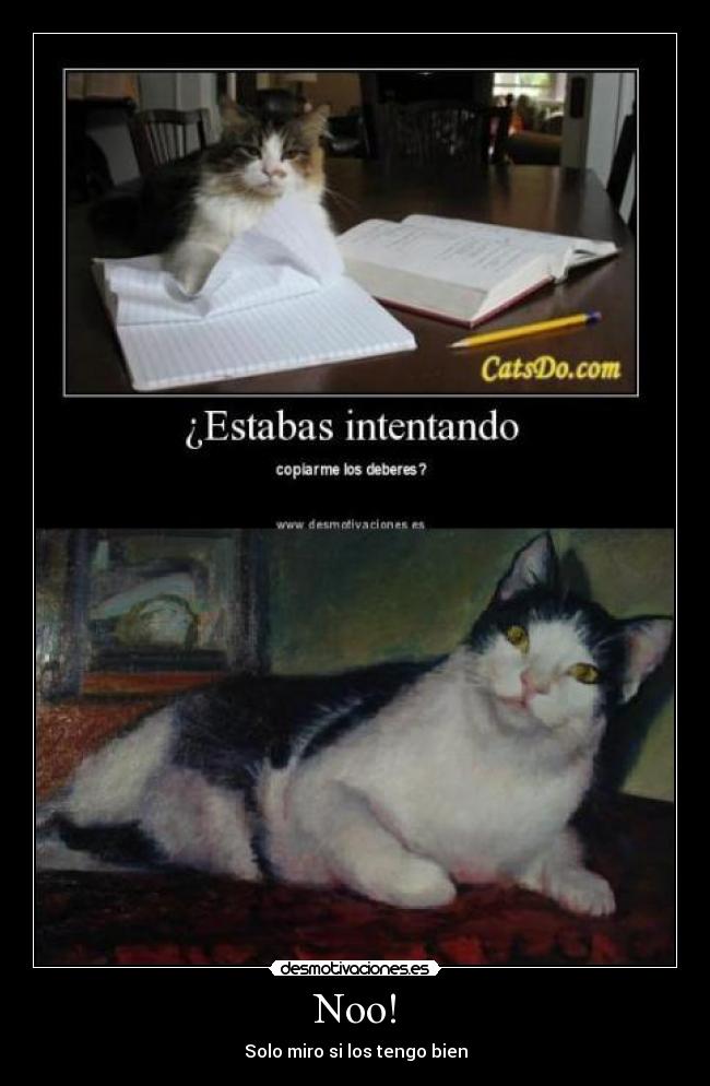 Noo! - Solo miro si los tengo bien
