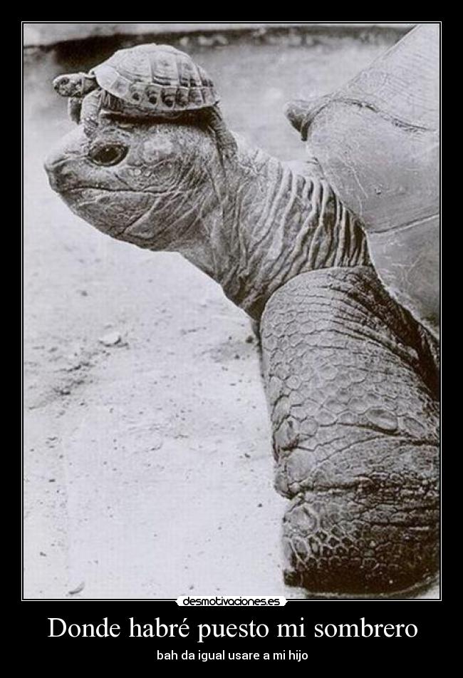 Donde habré puesto mi sombrero -