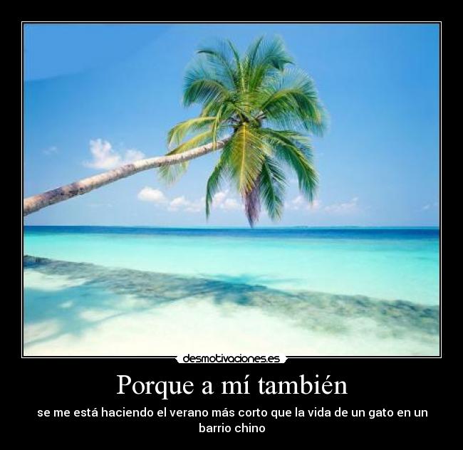 Porque a mí también - se me está haciendo el verano más corto que la vida de un gato en un barrio chino