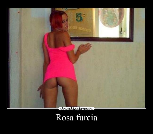 Rosa furcia -