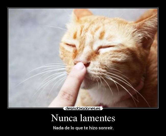 Nunca lamentes - Nada de lo que te hizo sonreír.