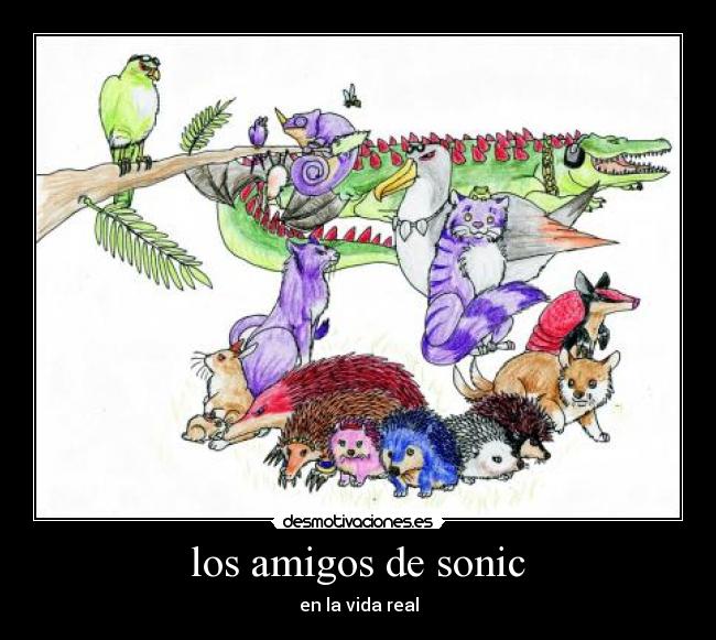 los amigos de sonic - en la vida real