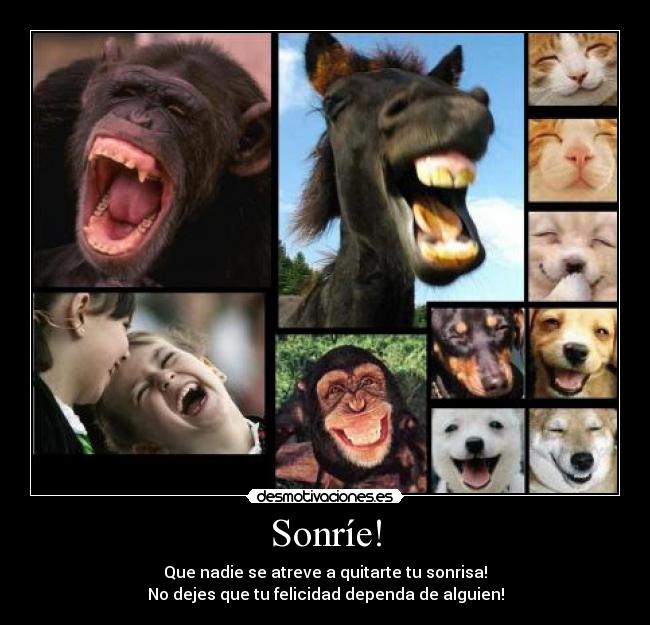 Sonríe! - 