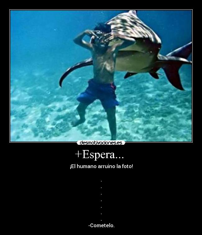 +Espera... - ¡El humano arruino la foto!
.
.
.
.
.
.
.
-Cometelo.