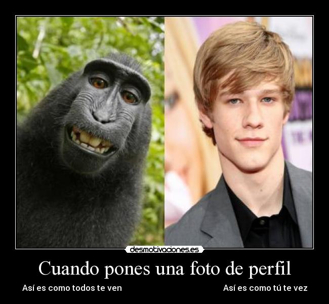 Cuando pones una foto de perfil -