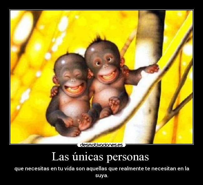 carteles amigos verdad desmotivaciones