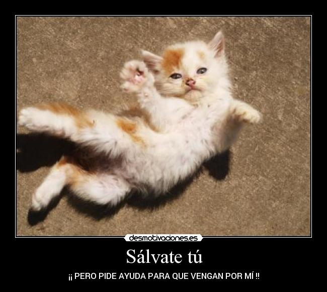 Sálvate tú -