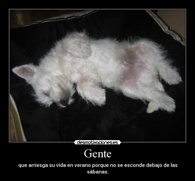 Gente - que arriesga su vida en verano porque no se esconde debajo de las sábanas.
