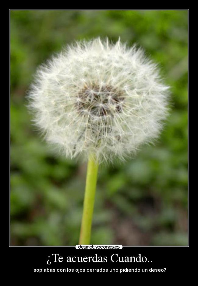 ¿Te acuerdas Cuando.. - soplabas con los ojos cerrados uno pidiendo un deseo?