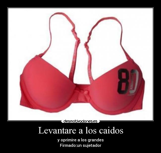 carteles levantarecaidosgrandessujetadordesmotivaciones desmotivaciones