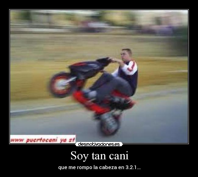 Soy tan cani - 