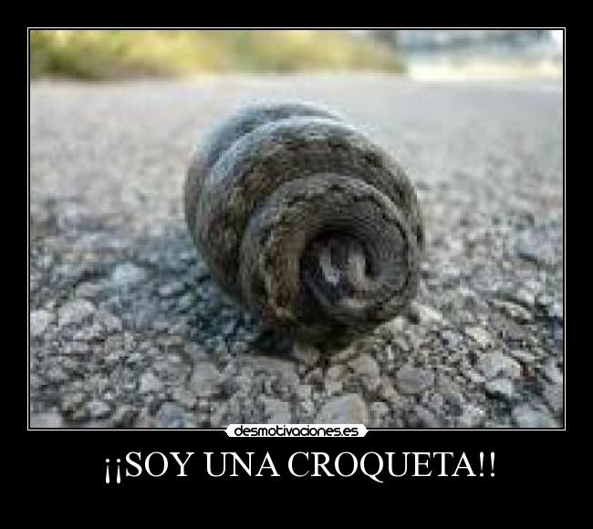 ¡¡SOY UNA CROQUETA!! -