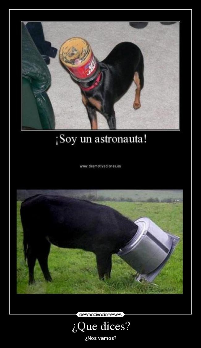 ¿Que dices? - ¿Nos vamos?