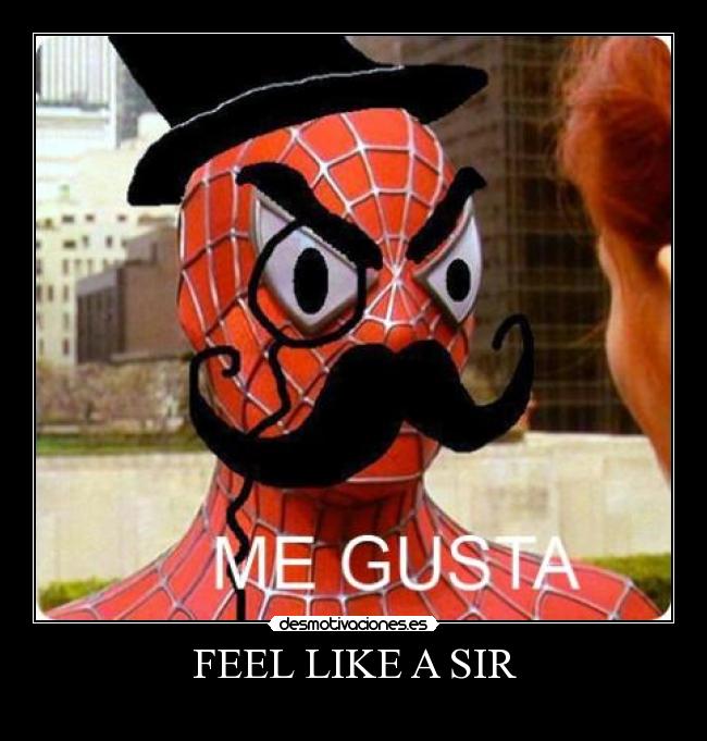 FEEL LIKE A SIR - 