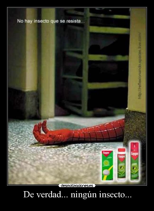 De verdad... ningún insecto... -