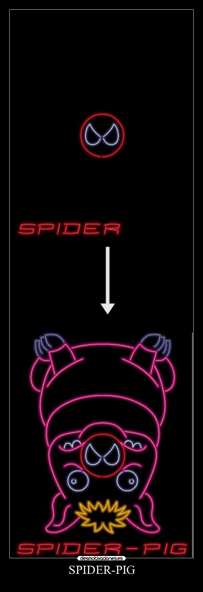 SPIDER-PIG -