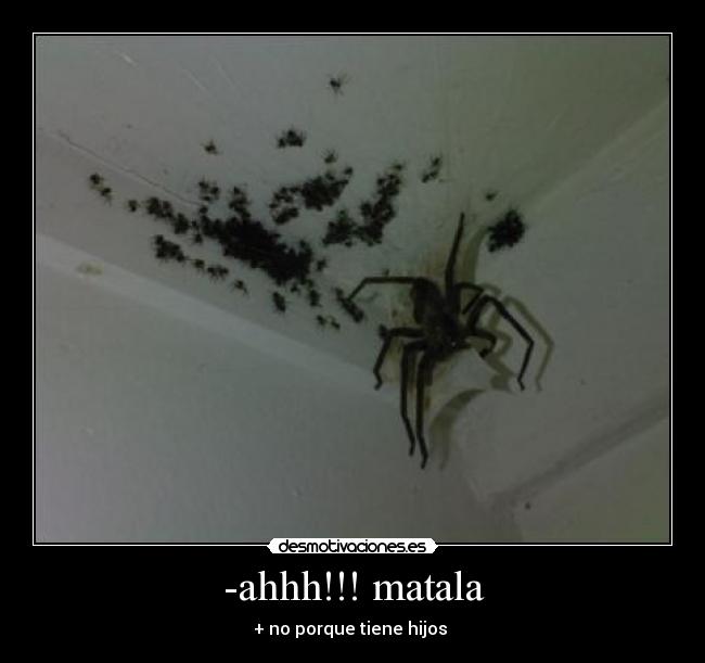 -ahhh!!! matala - + no porque tiene hijos