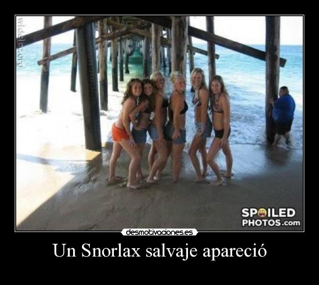 carteles snorlax pokemon gorda salvaje aparecio chica desmotivaciones