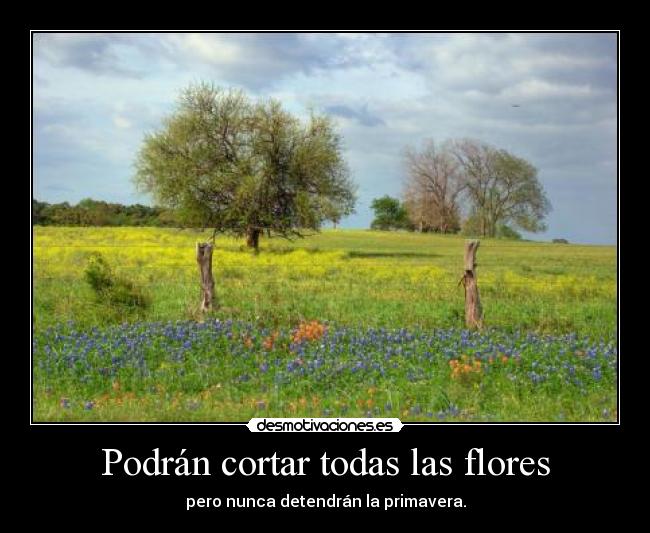 Podrán cortar todas las flores - pero nunca detendrán la primavera.