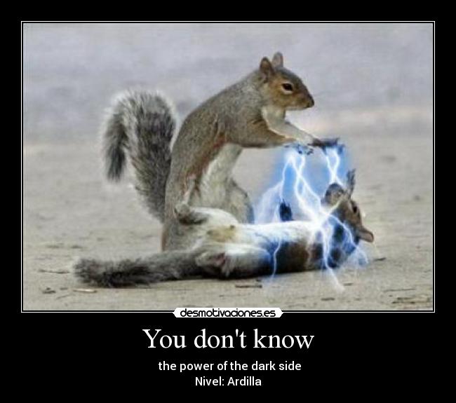 You dont know - the power of the dark side
Nivel: Ardilla