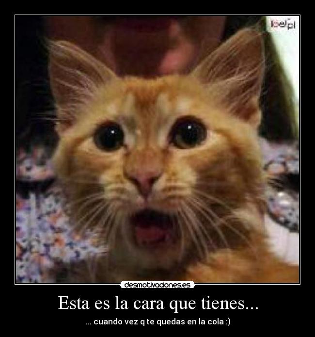 Esta es la cara que tienes... - ... cuando vez q te quedas en la cola :)