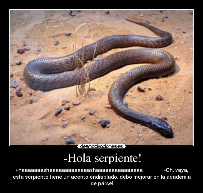 -Hola serpiente! - +haaaaaaashaaaaaaaaaaaaashaaaaaaaaaaaaaaa                 -Oh, vaya,
esta serpiente tiene un acento endiablado, debo mejorar en la academia
de pársel