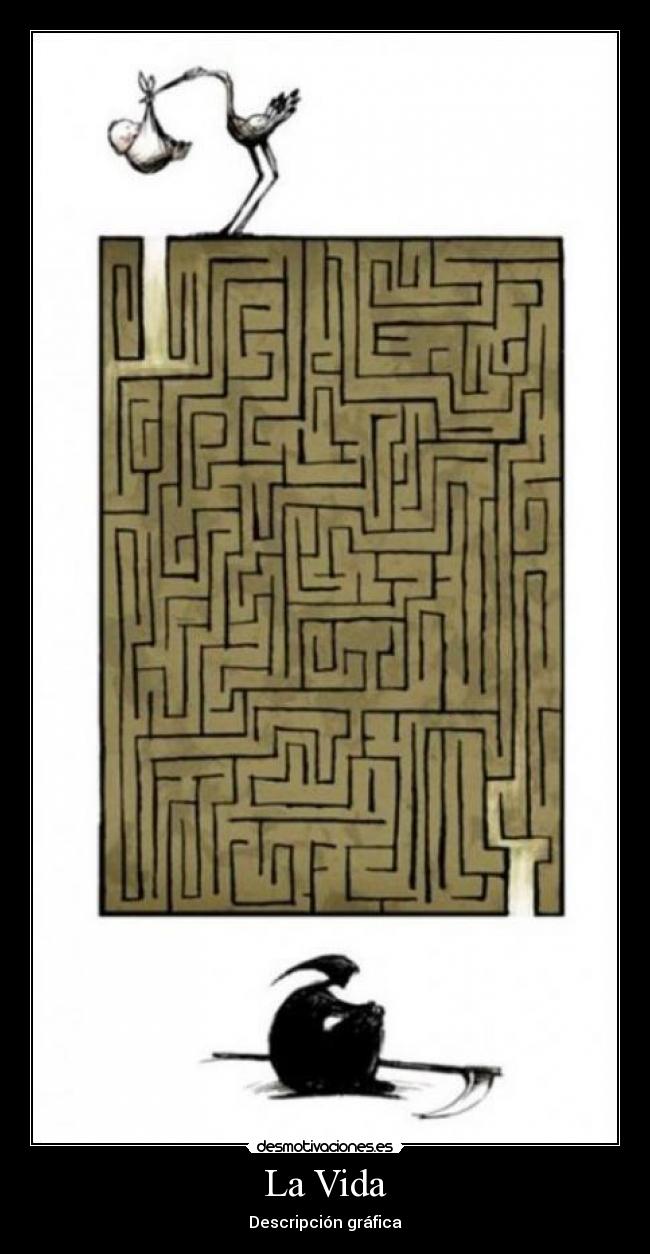 carteles vida swhyqethy desmotivaciones